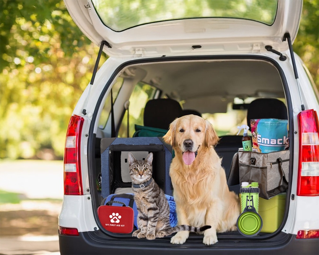 Pet travel and car accessories for road trips